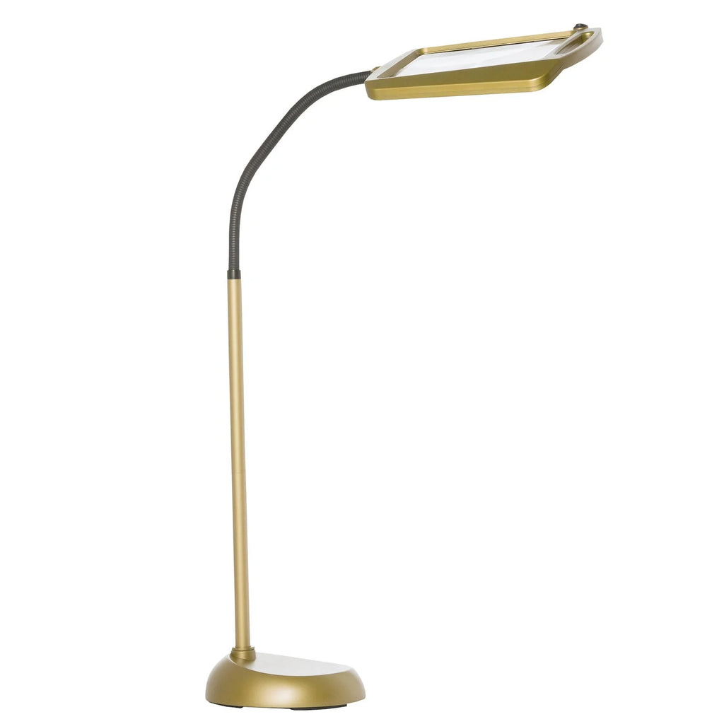 Bronze LED Illuminated Floor Magnifier Lamp B8568
