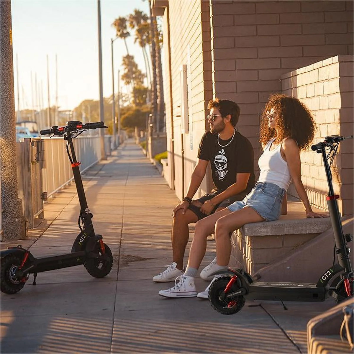 800W Electric Scooter with Offroad Tires M818477