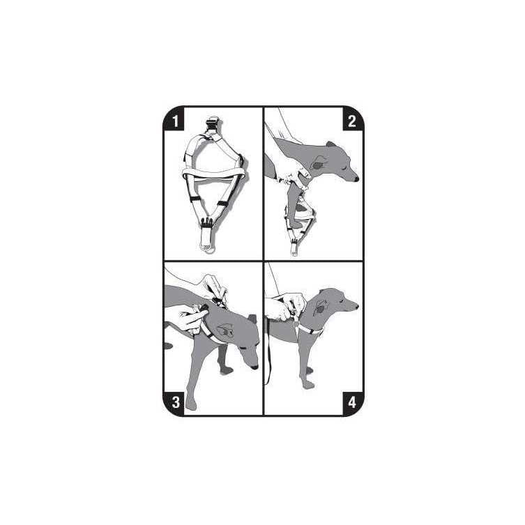 Step-In Dog Harness Z66167