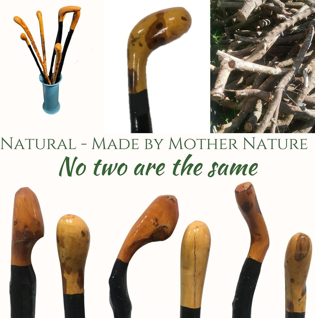 Blackthorn Walking Stick E2855