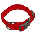 Adjustable Dog Collar F918362
