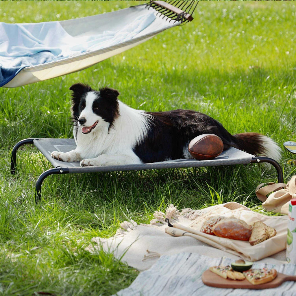 Large Elevated Cooling Outdoor Dog Bed H78913