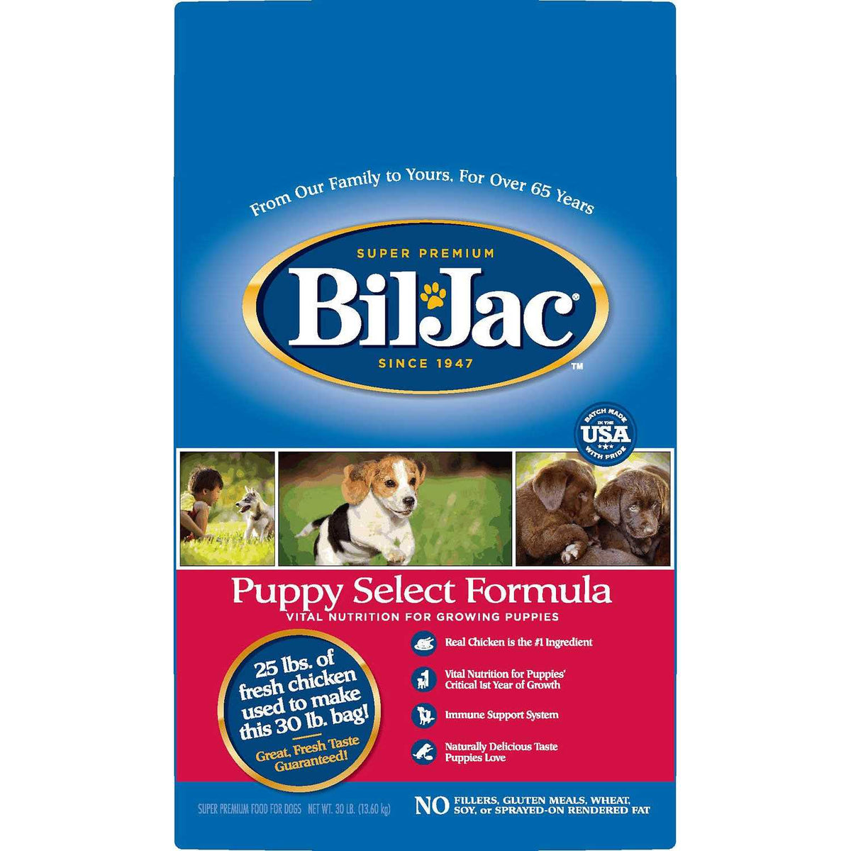 Dog Dry Food Z1082