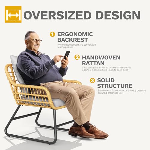 4 Piece Wicker Patio Furniture Set with Removable Cushion D232