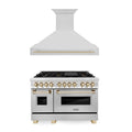 48 In. Dual Fuel Range and Range Hood in Stainless Steel V8576
