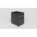 Black/Gray 2-Drawer Mobile Vertical Filing Cabinet S70411