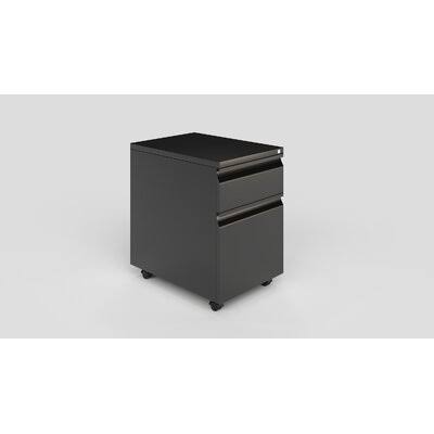 Black/Gray 2-Drawer Mobile Vertical Filing Cabinet S70411
