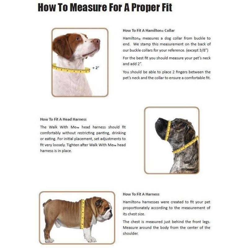 Adjustable Dog Collar F918362