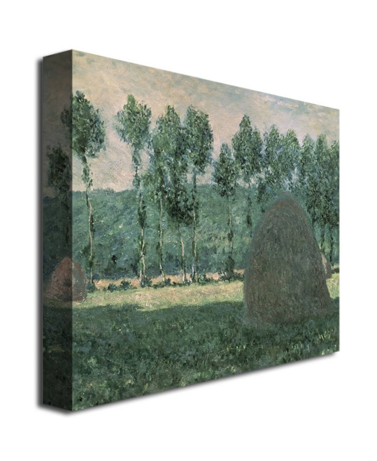 Canvas Art E568