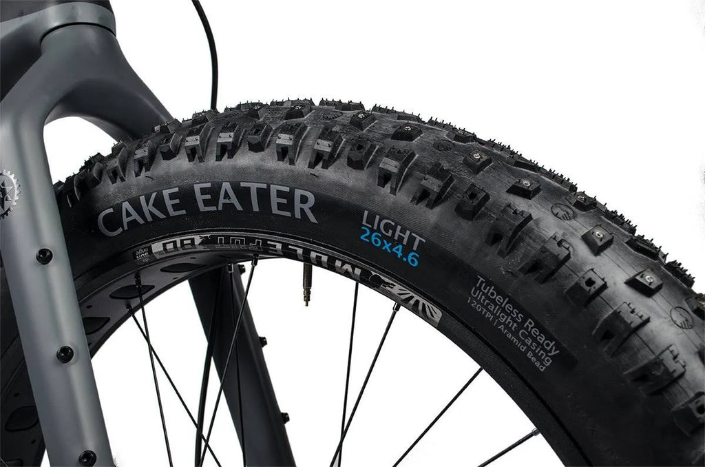 Fat Bike Tire C599017