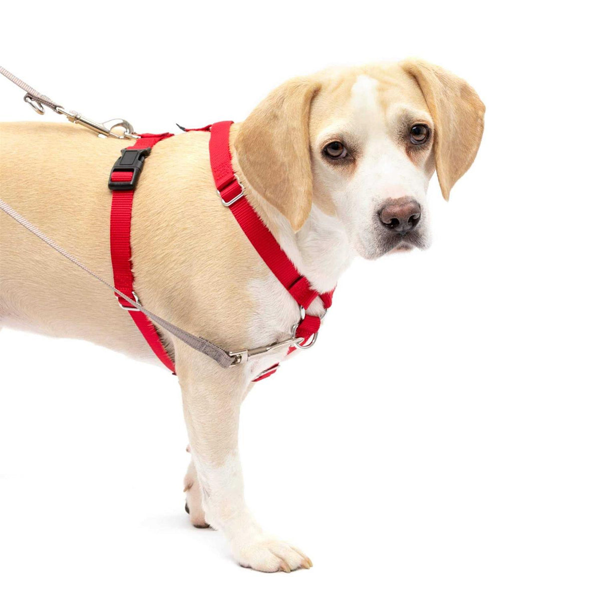 Pet Supplies G108