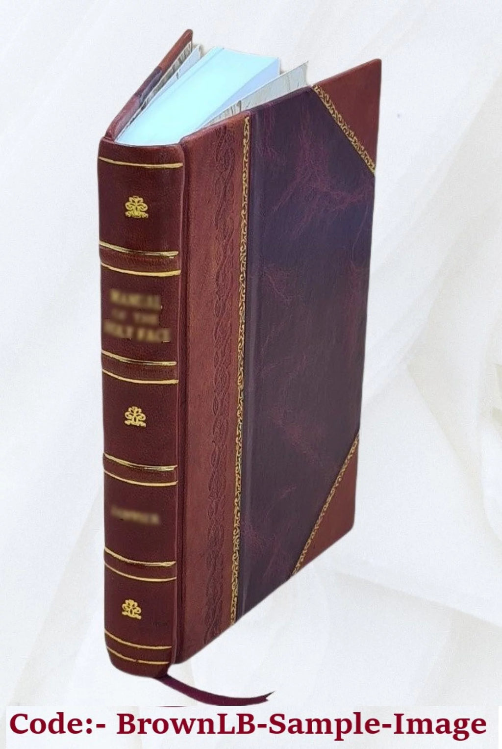 Leather Bound Book H9382