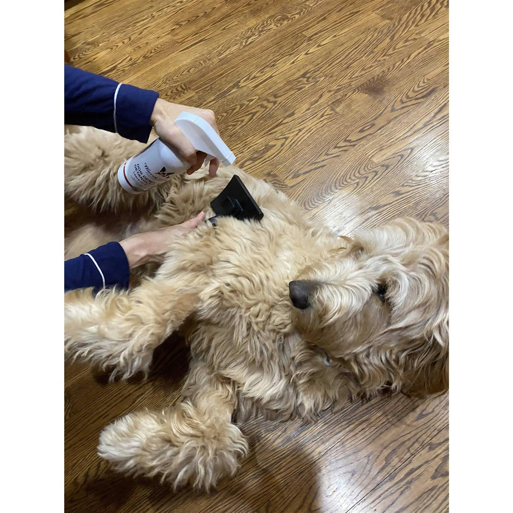 Dog Dematting & Detangler Spray Y815496