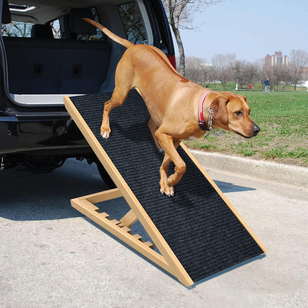 Adjustable Folding Portable Natural Wooden Pet Ramp R815
