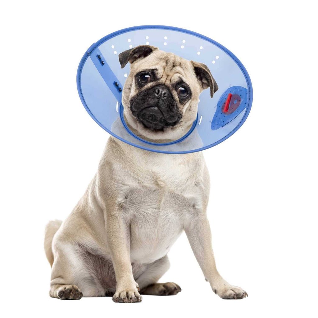 Calming Dog E-Collar M84152