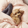 Percale 4-Piece Sheet Set V899