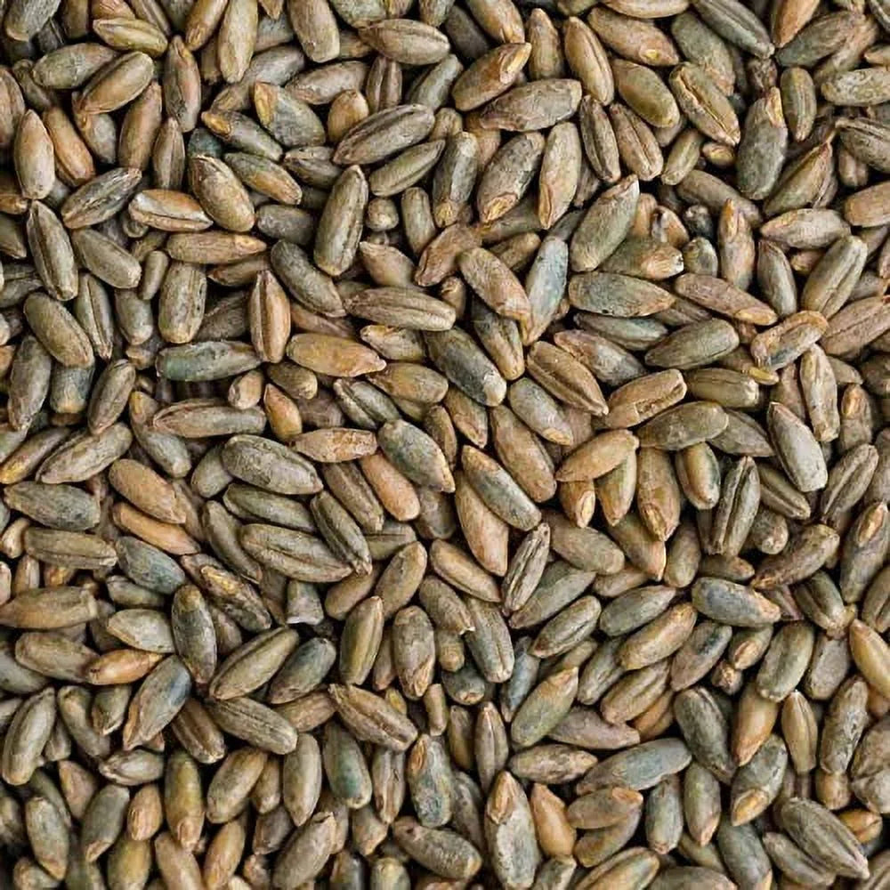 22 Pound Bag Of Rye Berries P122