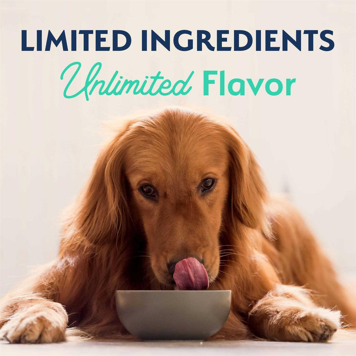 Chicken & Sweet Potato Dog Food K938