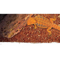 Stone Desert Substrate X859