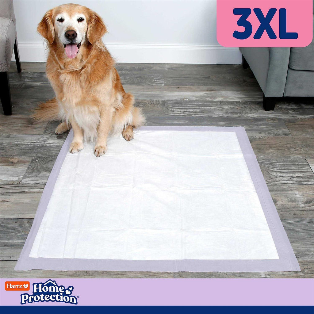 Lavender Scent Odor Eliminating Dog Pads M503306