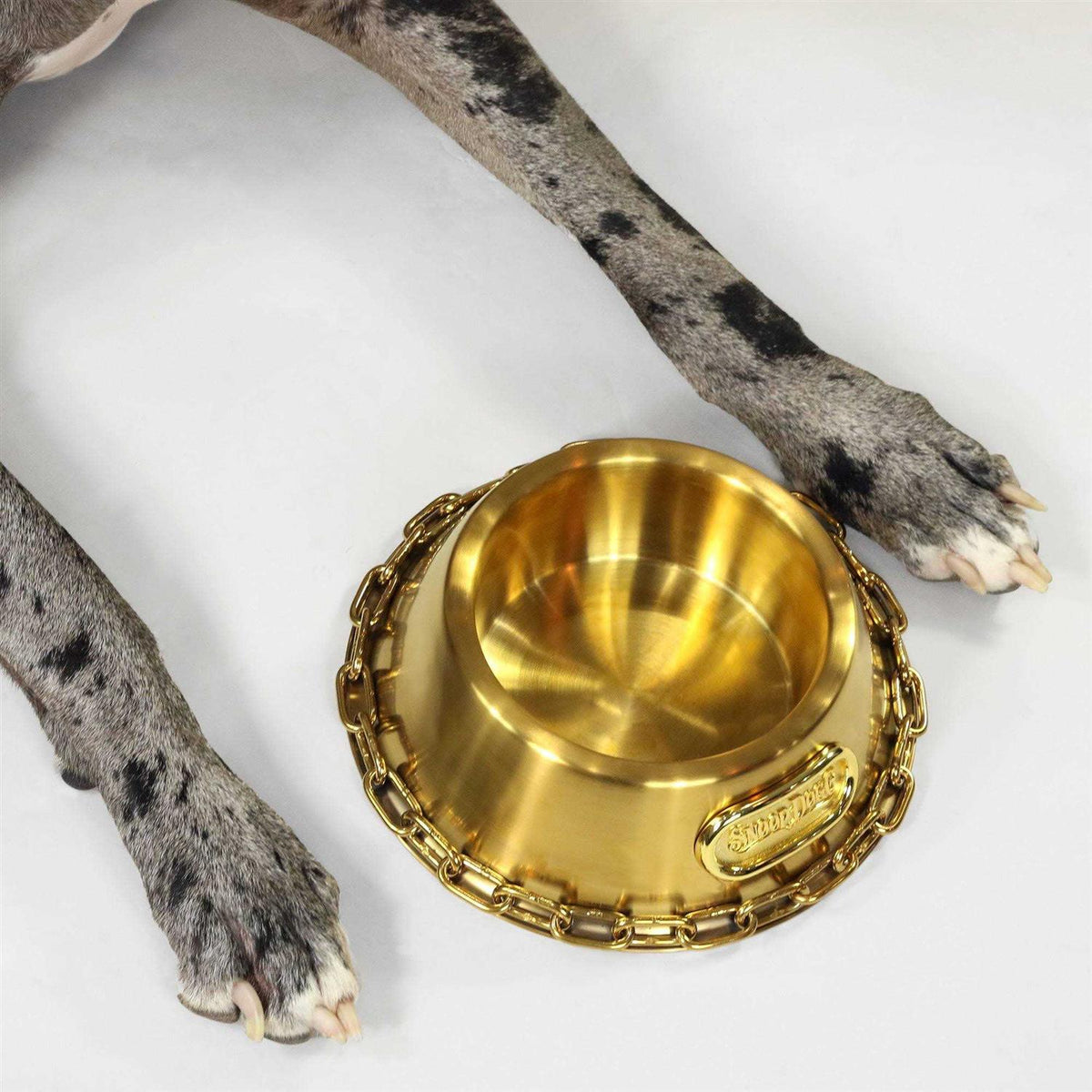Pet Bowl F762301