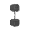 55lb Coated Hex Dumbbell J1593