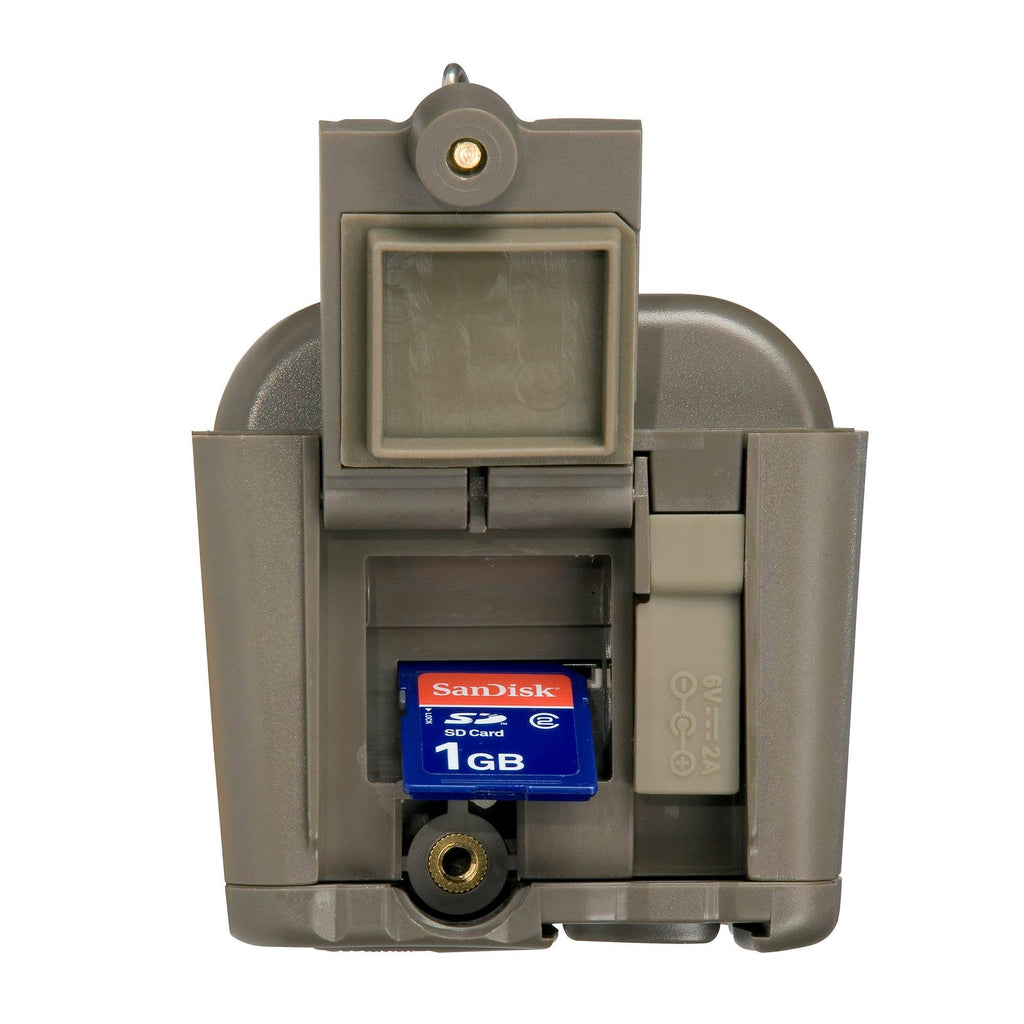 Dual Flash Trail Camera Z607585