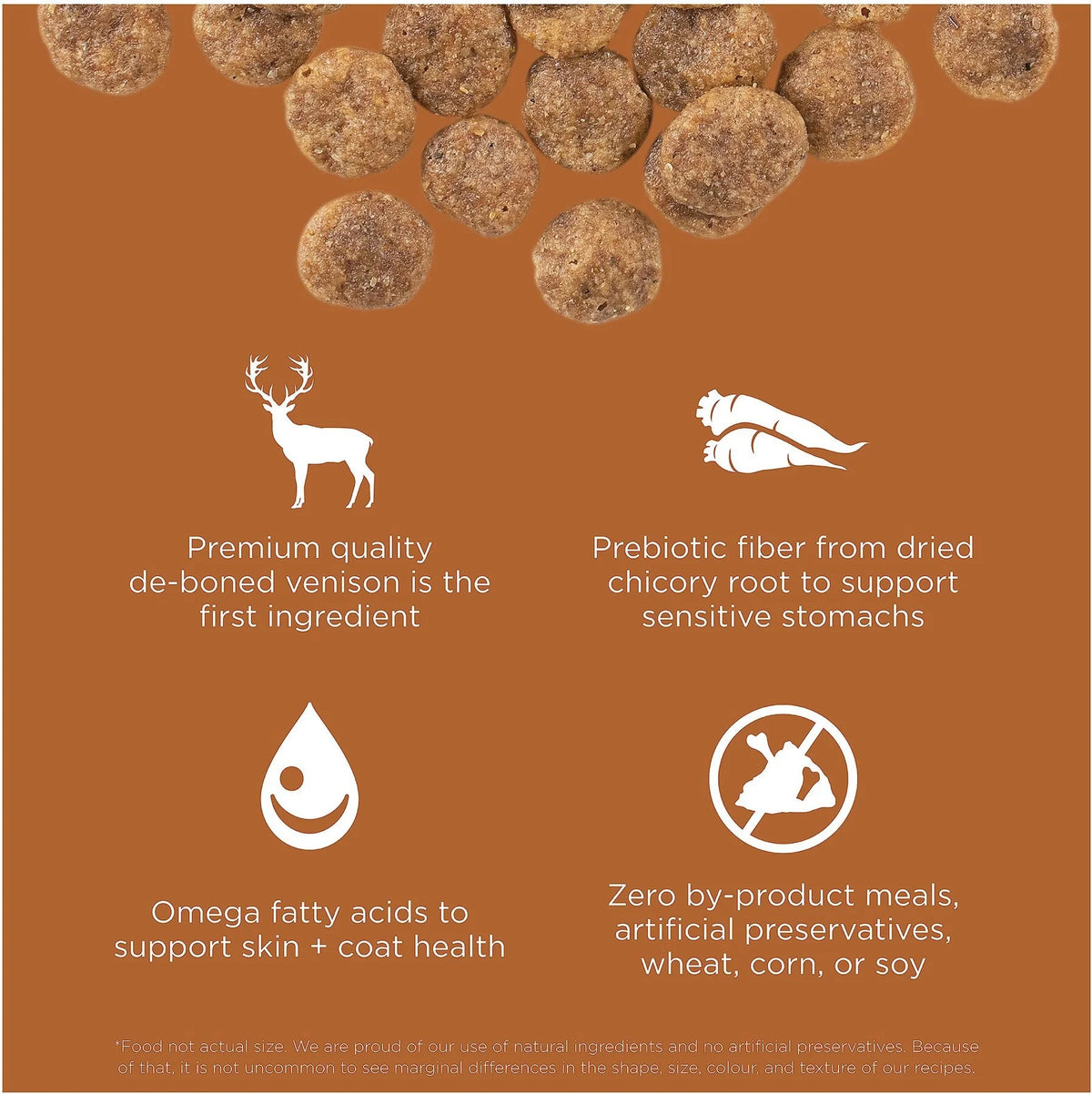 Limited Ingredient Grain-Free Dry Dog Food L471093