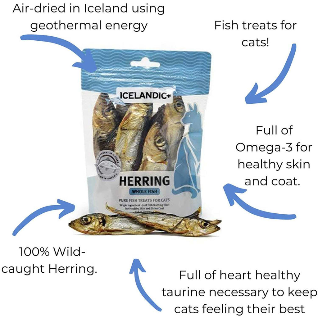 Whole Fish Cat Treats U568249