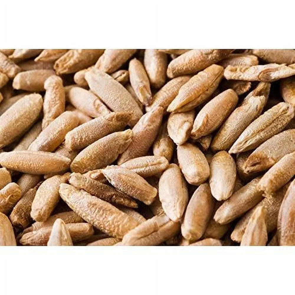 22 Pound Bag Of Rye Berries P122