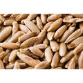 22 Pound Bag Of Rye Berries P122