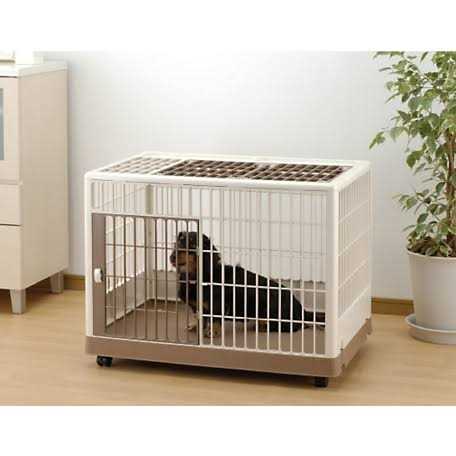 Pet Training Kennel C804