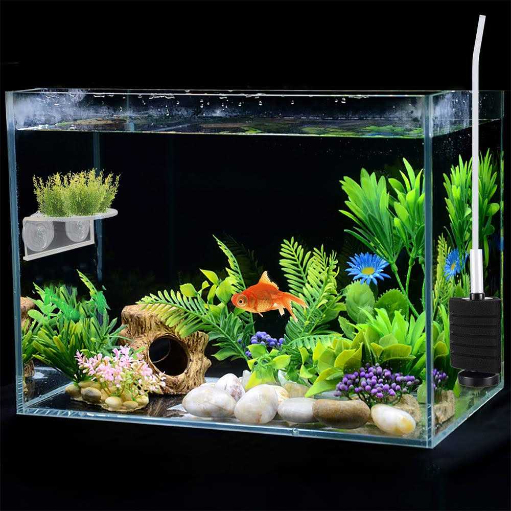 Transparent Acrylic Aquarium Shelf with Suction Cups A40145