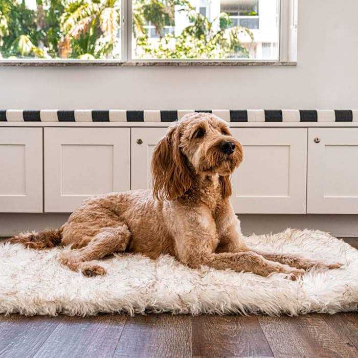 Portable Orthopedic Dog Bed I28015