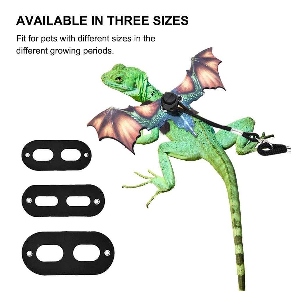 Adjustable Portable Reptile Leash with Wings K653592