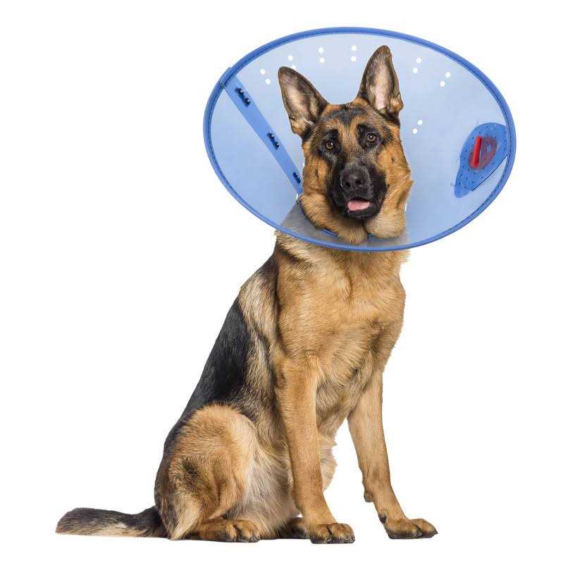 Calming Dog E-Collar M84152