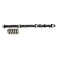 Cam & Lifter Kit F16396