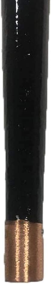 Blackthorn Walking Stick E2855