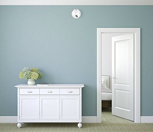 Wireless Interconnected Smoke Alarm with Voice Location E4550
