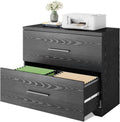 2 Drawer Wood Lateral File Cabinet with Anti-tilt Mechanism X49133