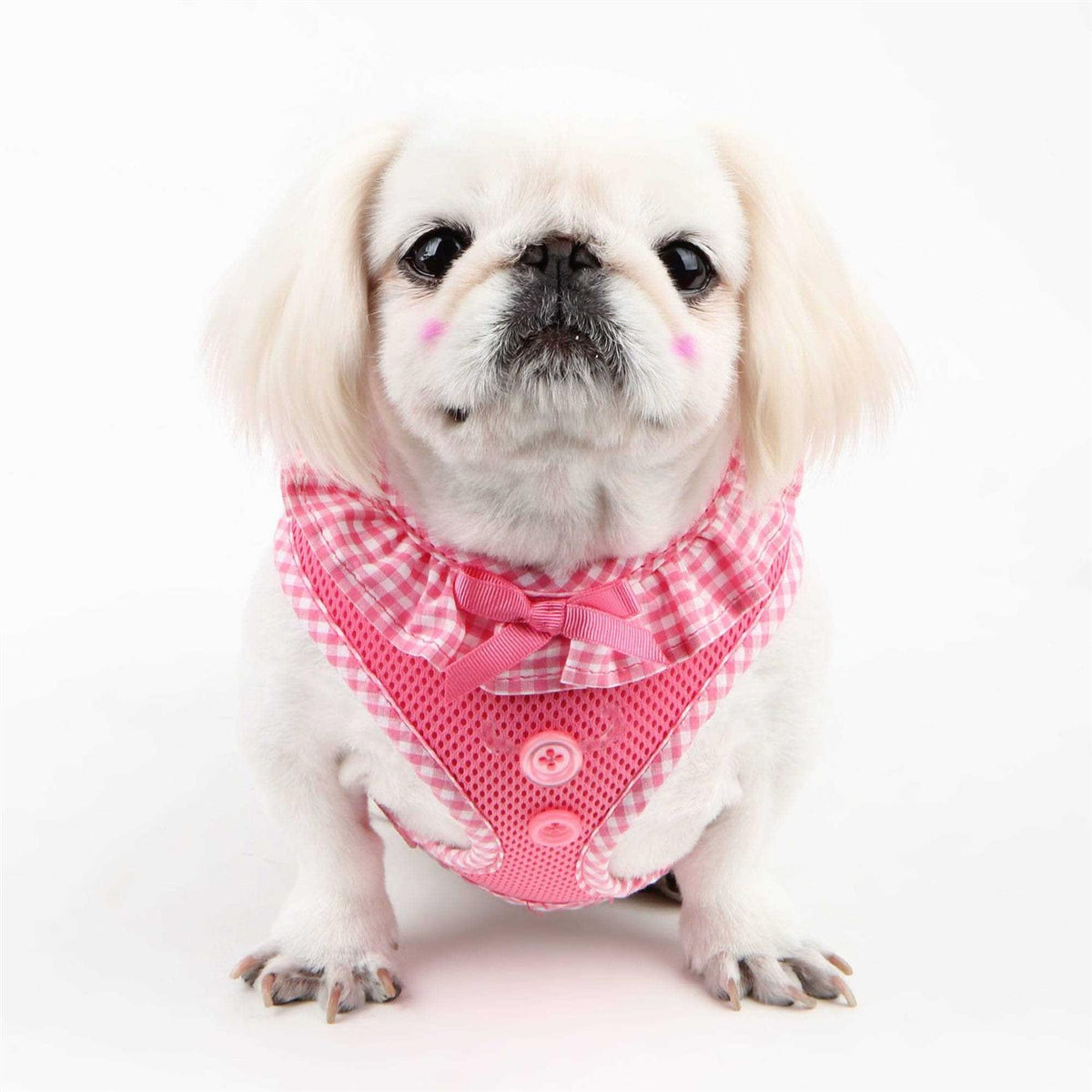 Pet Harness A347969