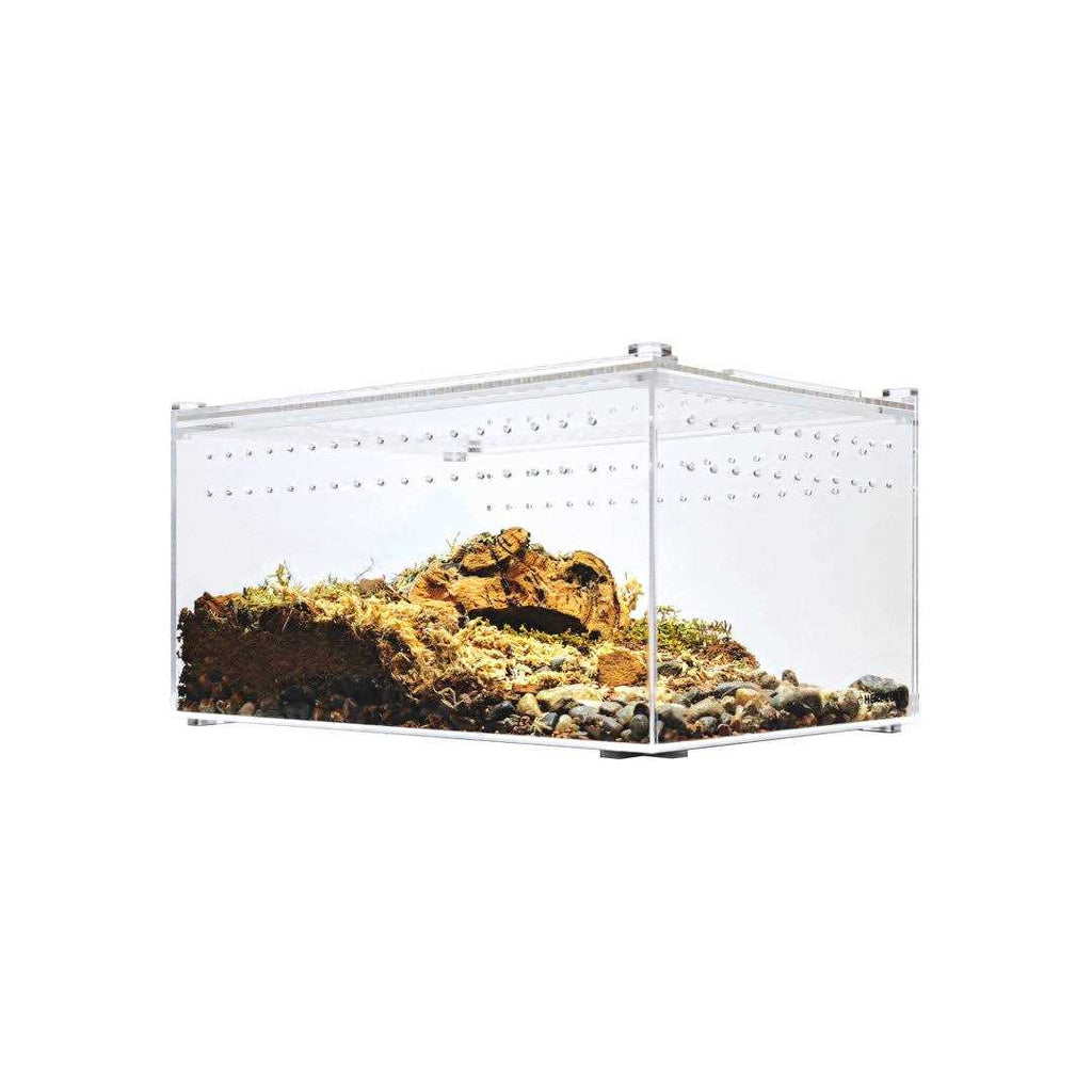 Acrylic Insect & Reptile Terrarium Z12307
