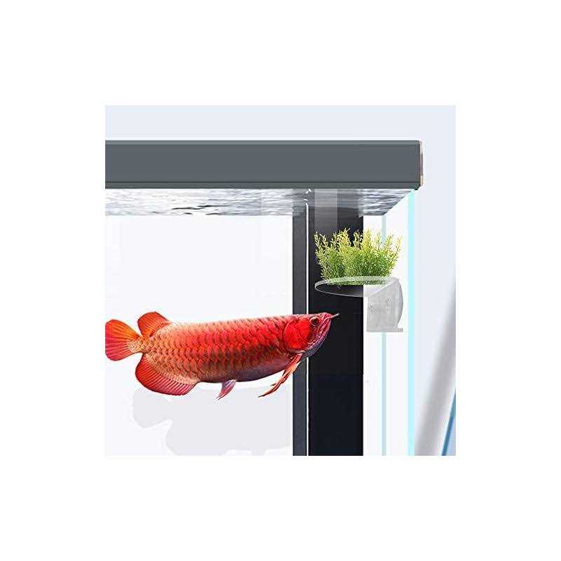 Transparent Acrylic Aquarium Shelf with Suction Cups A40145