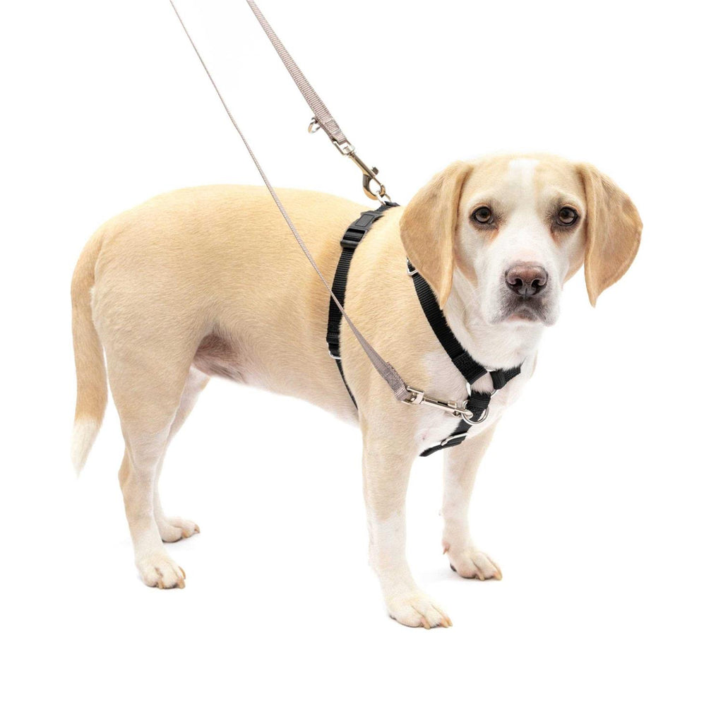 Pet Supplies G108