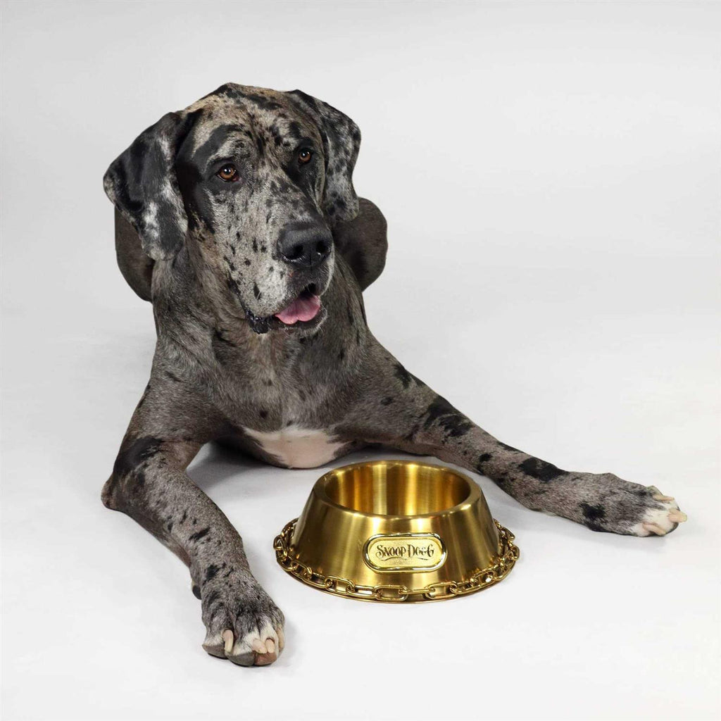 Pet Bowl F762301