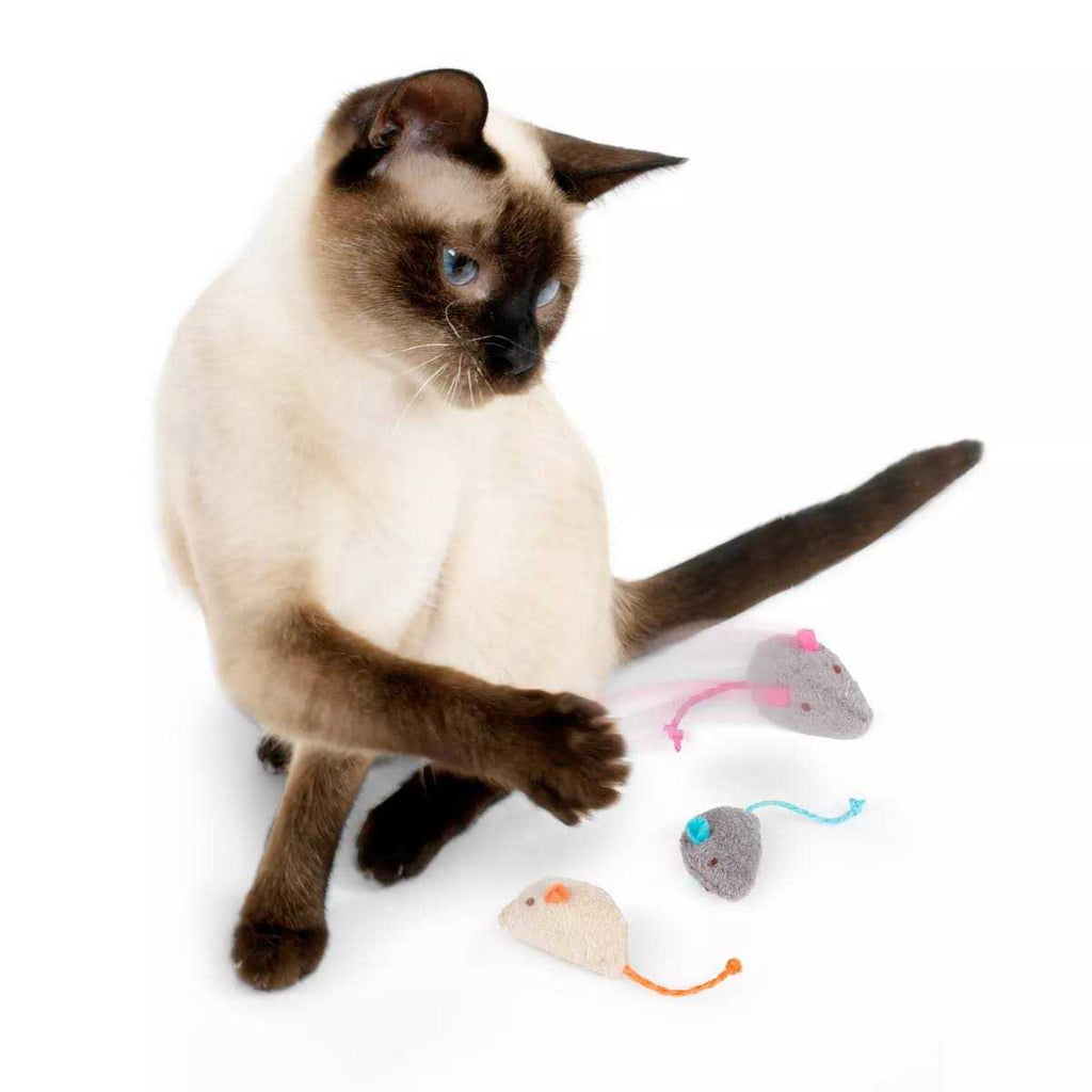 Catnip Toys U3146