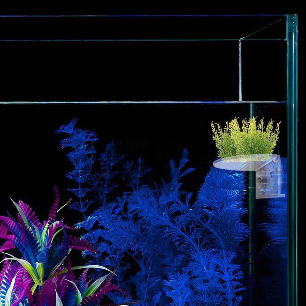 Transparent Acrylic Aquarium Shelf with Suction Cups A40145