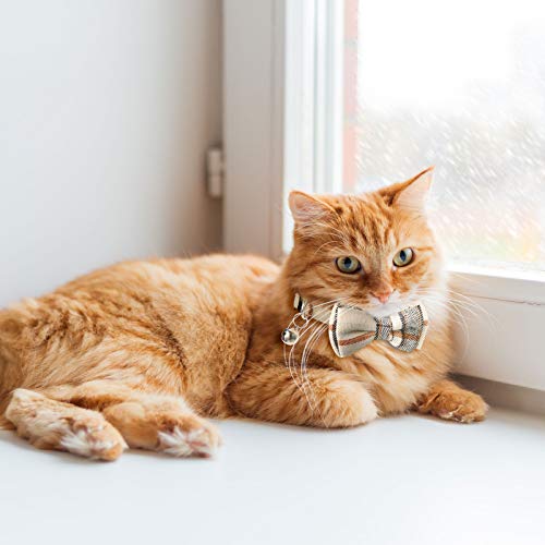 4 Pieces Breakaway Cat Collar Bandana with Plaid Scarf and Bowtie Bell F918535