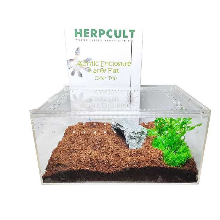 Acrylic Insect & Reptile Terrarium Z12307