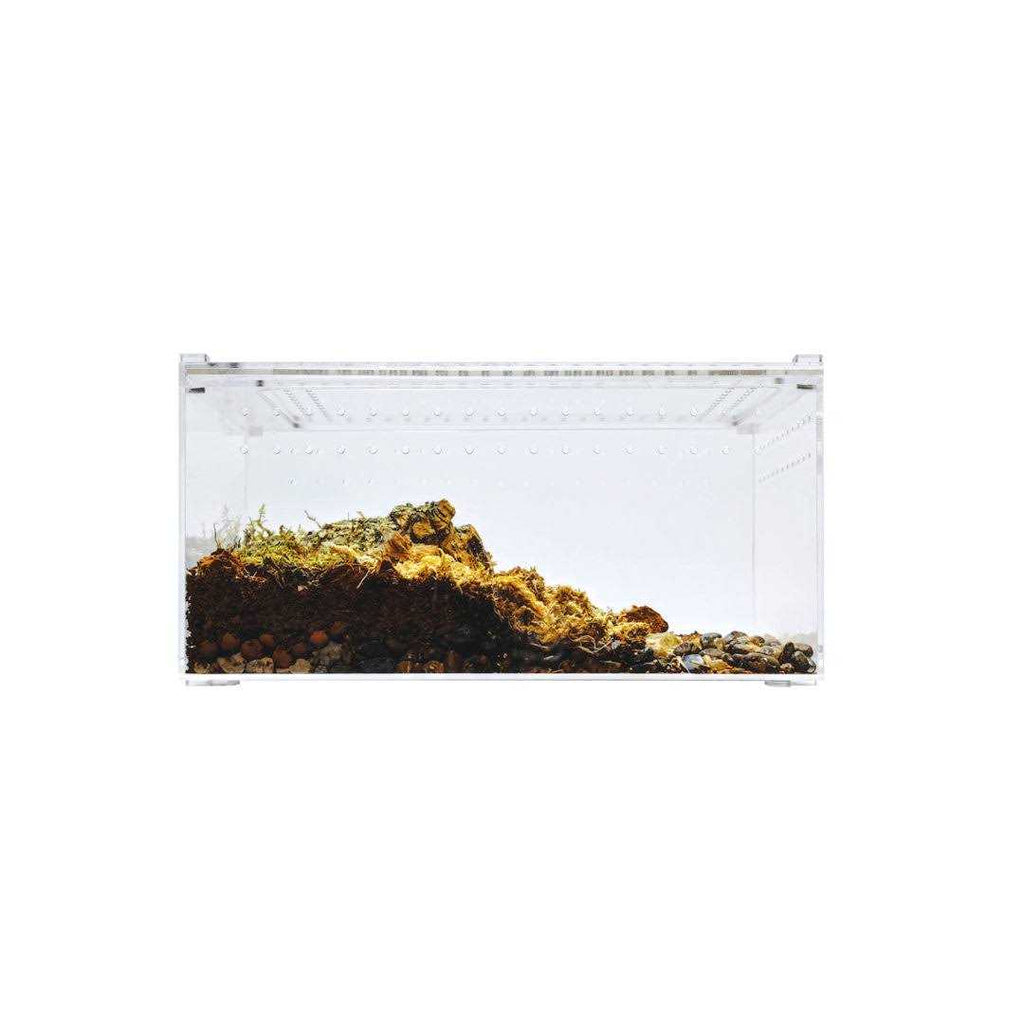 Acrylic Insect & Reptile Terrarium Z12307
